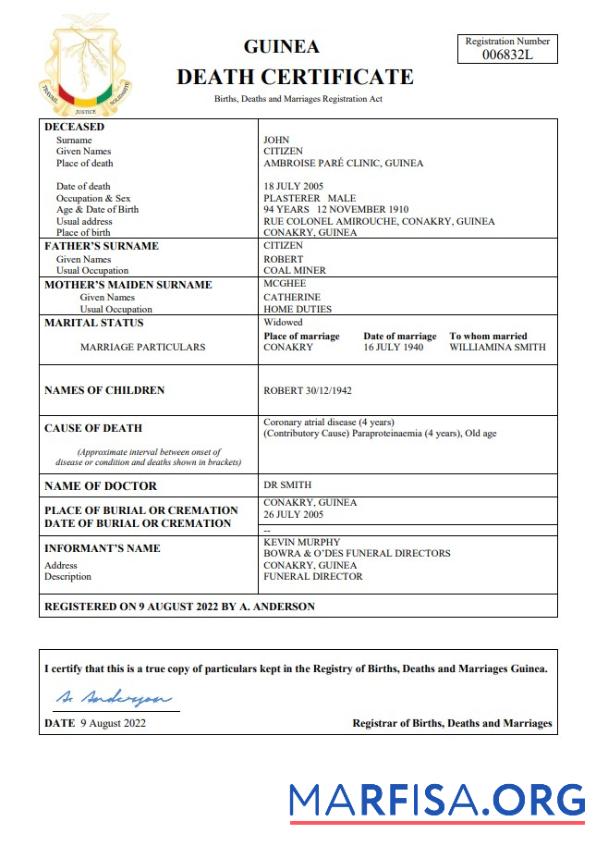 Printable Guinea death certificate Word and PDF template,